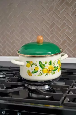 Miss Betty Emaye Tencere 20 Cm Citrus - 2